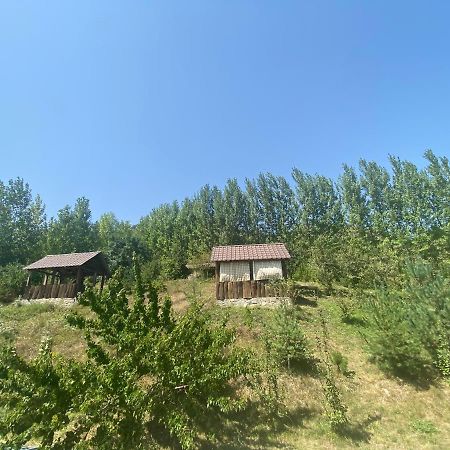 Hotel Nirvana Dilijan Εξωτερικό φωτογραφία