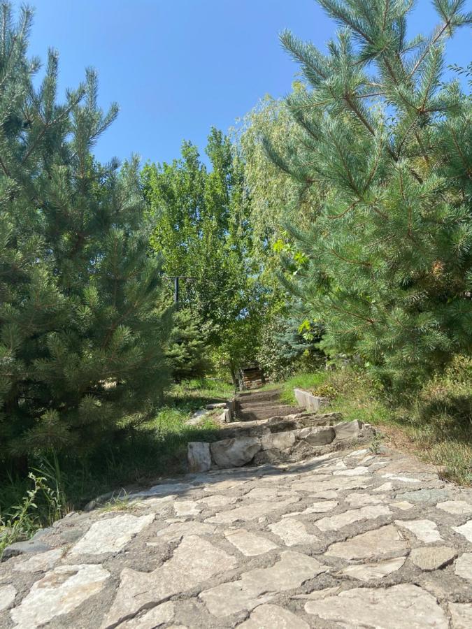Hotel Nirvana Dilijan Εξωτερικό φωτογραφία