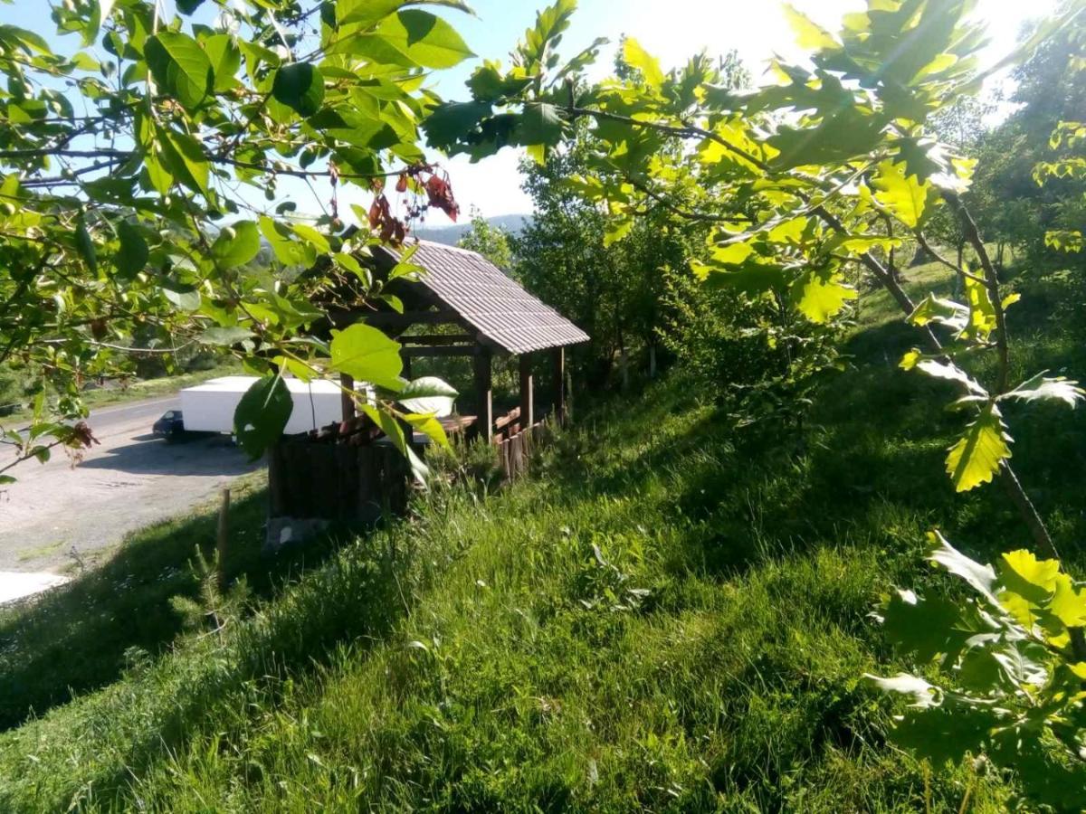 Hotel Nirvana Dilijan Εξωτερικό φωτογραφία