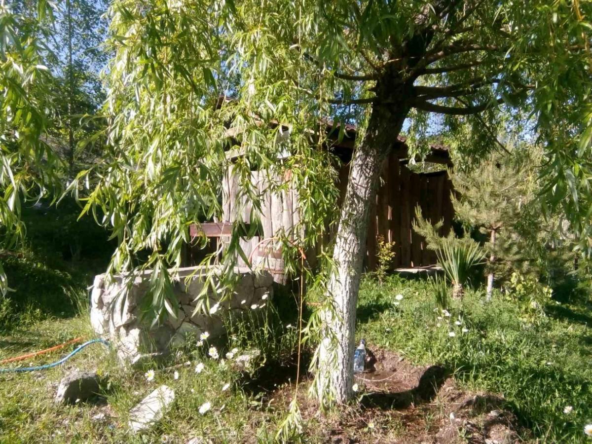 Hotel Nirvana Dilijan Εξωτερικό φωτογραφία